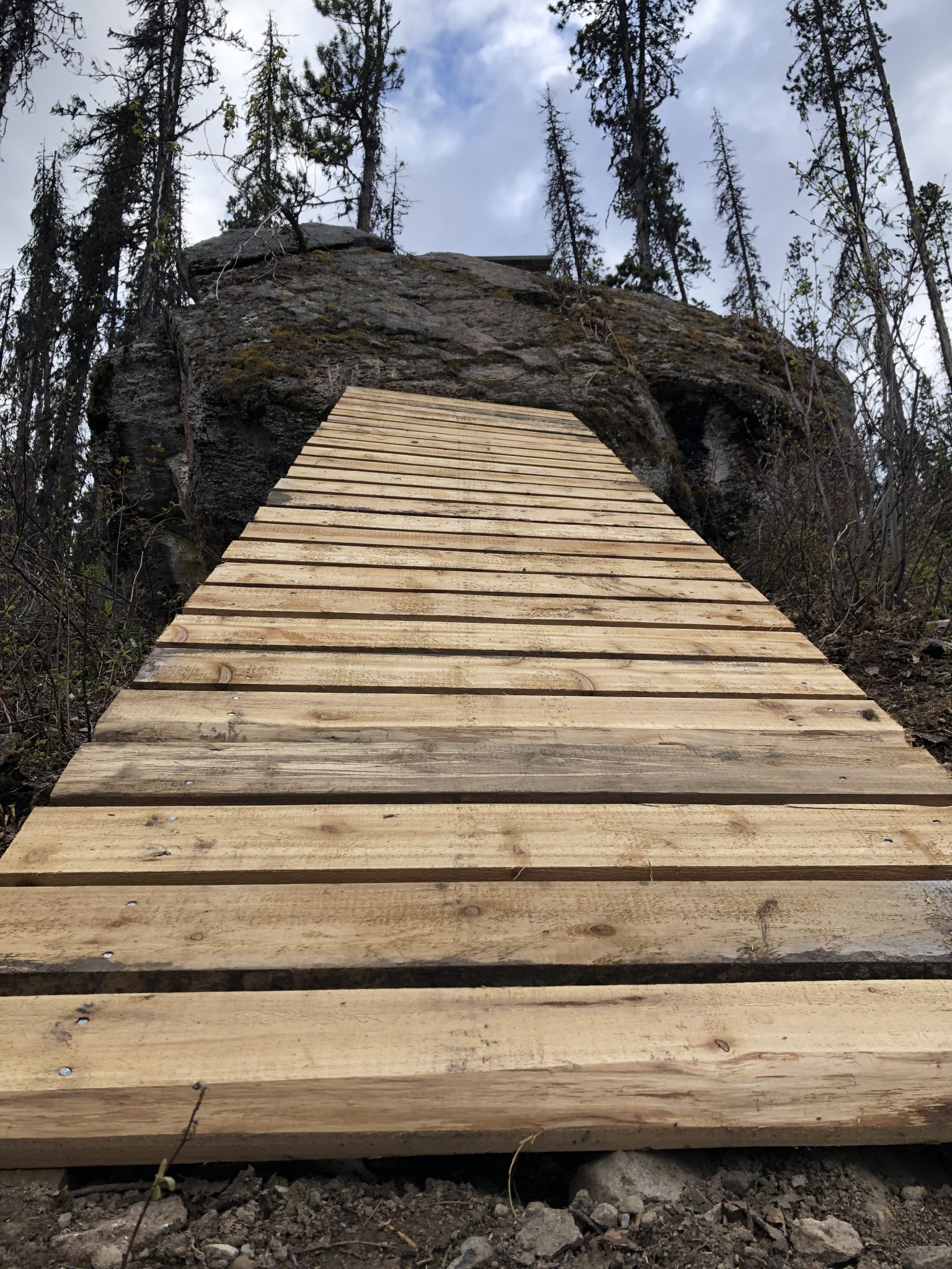 Whistler Trail Standards Smithers Mountain Bike Association